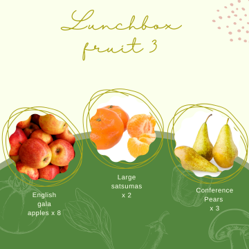 Lunchbox Fruit 3