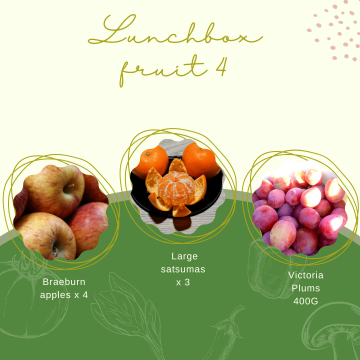 Lunchbox Fruit 4