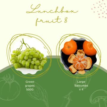 Lunchbox Fruit 8