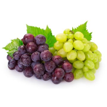 Mixed grapes - punnet
