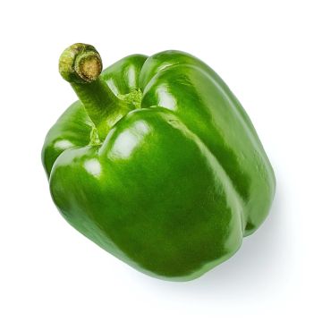 Small Green Pepper