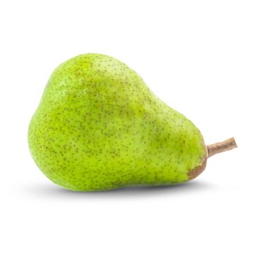 William Pears - 800G