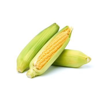 Sweetcorn (Corn on the cob) - 2 pack