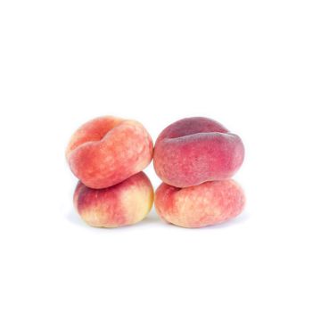 Donut Peaches  - 6 Pack