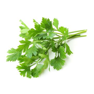 Chervil - 100GRM