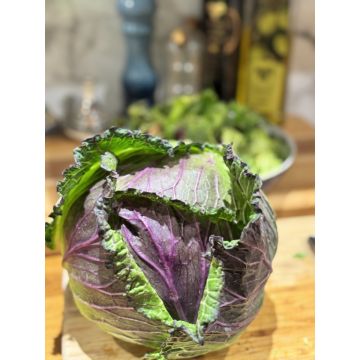 January King Cabbage
