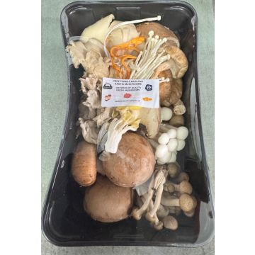 New Forest Wild and Exotic Mushrooms - 500G
