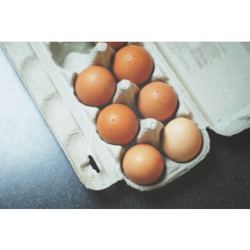 Pack of 6 Eggs